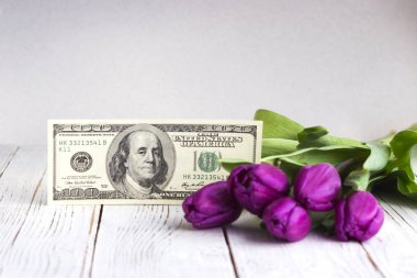 Buket mor laleler ve Amerikan para ($100), t için bir hediye