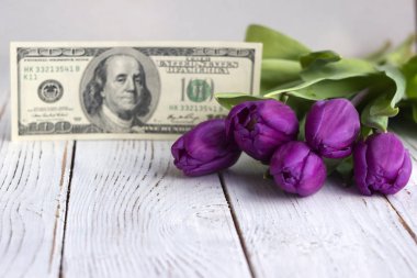 Buket mor laleler ve ABD para birimine ($100), para - hediye
