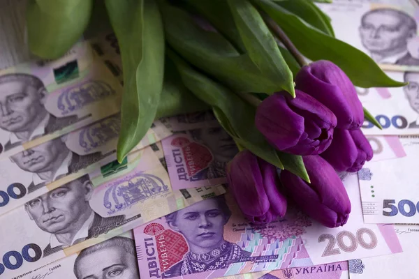 Bouquet of purple tulips and  Ukrainian national currency (hryvn — Stock Photo, Image