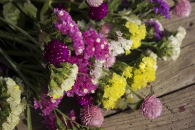 Gomphrena globosa ve Limonium - güzel pembe, sarı ve beyaz