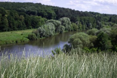 Vinnytsia yakınlarındaki güzel manzara, Güney Böcek nehri. Yaz, bulutlu gökyüzü. Ön planda çimler