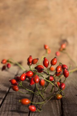 Tahta bir masanın üzerinde olgun kırmızı meyveler olan gül ağacı dalları. Yararlı şifalı bitkiler