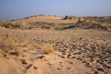 Avrupa 'nın en büyük çölü, Ukrayna - Oleshky Sands (Oleshkivski pisky).