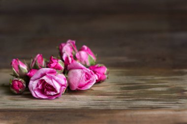 Pembe bir çay evinin tomurcukları ve çiçekleri, ahşap arka plan, yazı için yer. Aromatik çay yapmak için parlak güzel çiçekler.