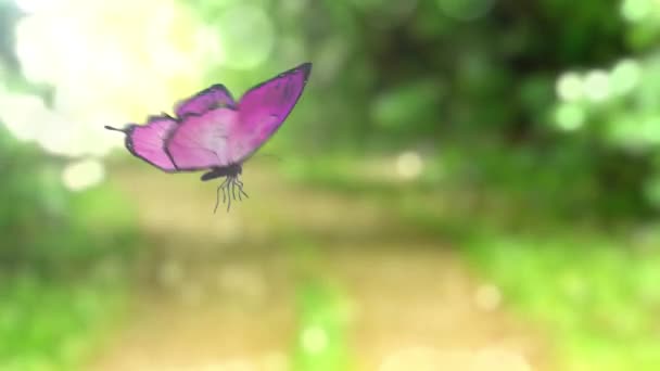 Beau papillon sur le sentier forestier Terres sur la main des robots. Belle animation 3D, 4K . — Video