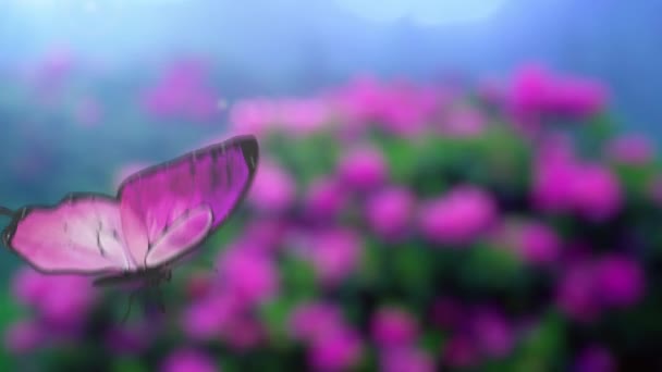 Belle terre farfalla sulla mano robot. Bella animazione 3d, 4K . — Video Stock
