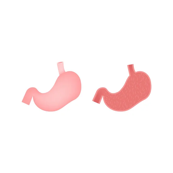 Icono plano del vector estomacal, órgano humano, anatomía, ilustración del vector médico — Vector de stock