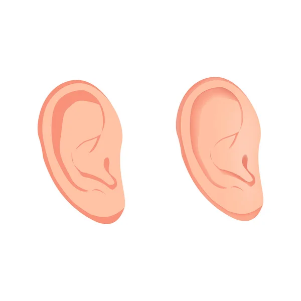Kulak vektördüz simgesi, insan organı, anatomi, tıbbi vektör illüstrasyon