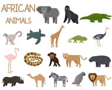 Düz tarzda simgeler kümesi Afrika hayvanları, Afrika faunası, fil, gergedan, aslan, papağan, vb vektör illüstrasyon
