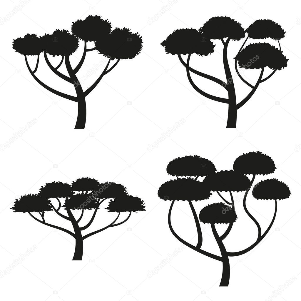 Umbrella acacia icon set, African tree vector illustration