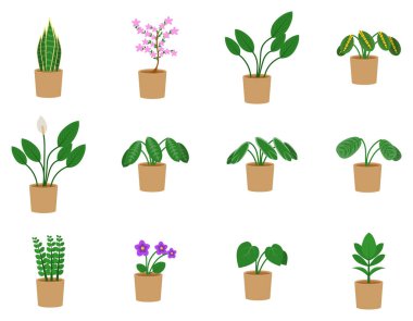 Houseplants simge seti, saksı bitkileri ve çiçekler vektör illüstrasyon düz tasarım