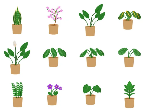 ハウスプラントアイコンセット、鉢植えの植物や花ベクトルイラストをフラットデザインで — ストックベクタ