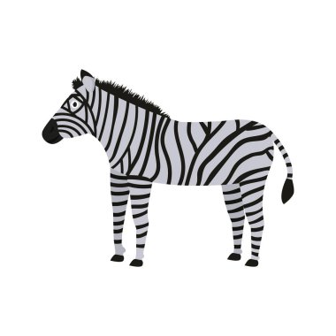 Zebra icon in flat style, african animal vector illustration