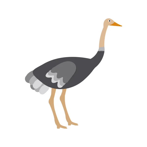 Ícone de avestruz em estilo plano, ilustração de vetor animal africano — Vetor de Stock