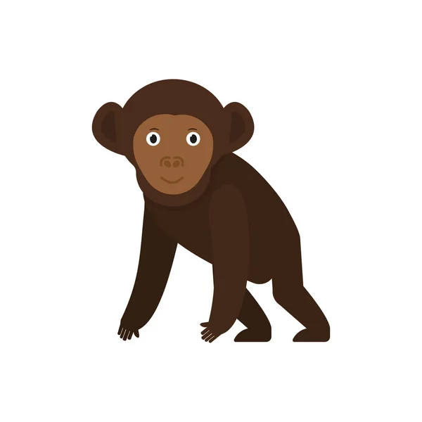 Düz tarzda Şempanze simgesi, Afrika hayvan vektör illüstrasyon — Stok Vektör