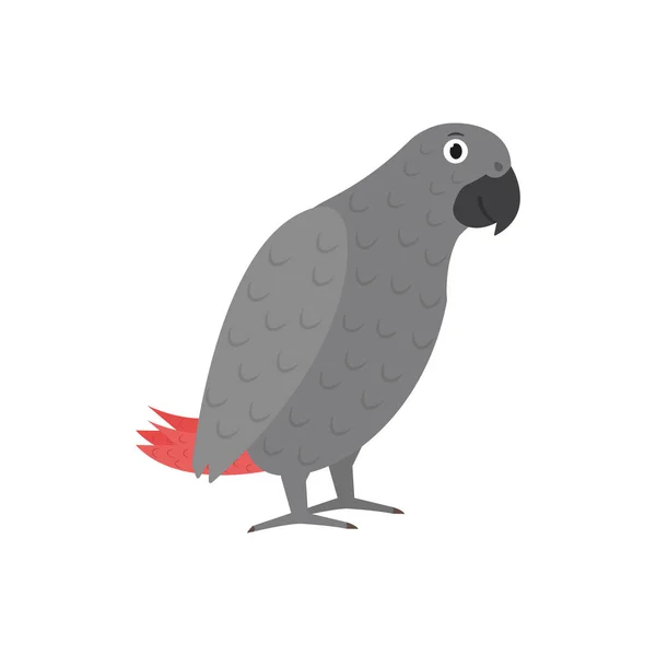 Jaco Parrot Icon i platt stil, afrikansk djur vektor illustration — Stock vektor