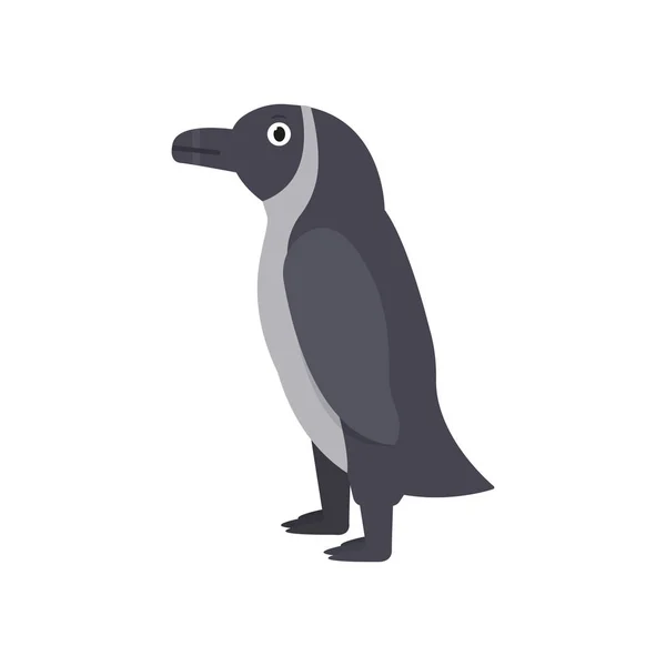 Pingvin ikon i platt stil, afrikansk djur vektor illustration — Stock vektor