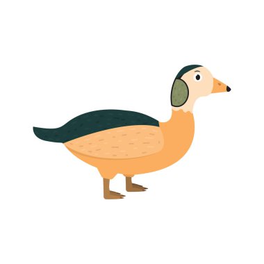 Düz tarzda cüce kaz simgesi, Afrika hayvan vektör illüstrasyon