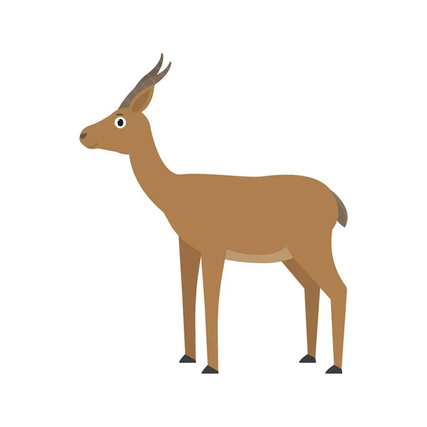 Gazelle Dorcas icon in platte stijl, Afrikaanse dierlijke vector illustratie — Stockvector