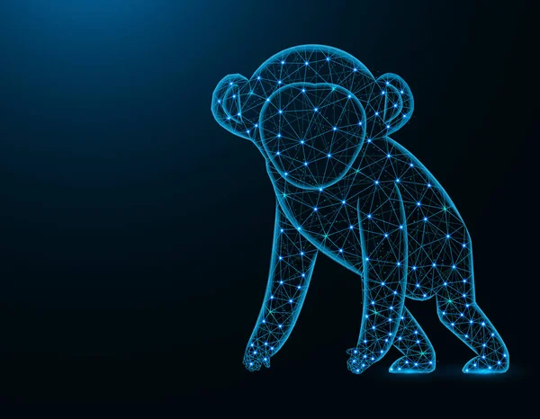 Un modello a basso poli scimmia, grafica astratta animale africana, illustrazione vettoriale wireframe poligonale primate su sfondo blu scuro — Vettoriale Stock