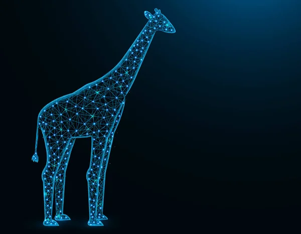 长颈鹿低多边形模型，非洲动物抽象图形，哺乳动物多边形线框矢量插图深蓝色背景 — 图库矢量图片