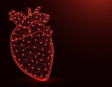 Aort ve damarlar düşük poli model, insan organları soyut grafik, koyu kırmızı arka plan üzerinde anatomi poligonal tel kafes vektör illüstrasyon ile Kalp