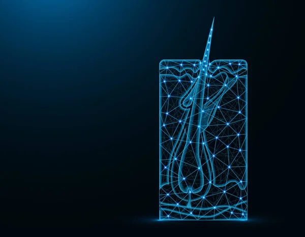 Sağlıklı saç ampul ülerbudüşük poli model, tıbbi soyut grafikler, saç büyüme ve koyu mavi arka plan üzerinde insan cilt çokgen tel kafes vektör illüstrasyon