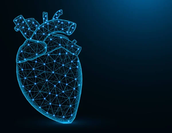 Heart with aorta and veins low poly model, human organs abstract graphics, anatomy polygonal wireframe vector illustration on dark blue background — Stock Vector