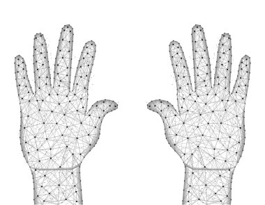 Eller insan avuç içi düşük poli tasarım, çokgen tarzı jest, vücut parçası tel kafes vektör illüstrasyon noktaları ve çizgiler beyaz bir arka planda yapılan