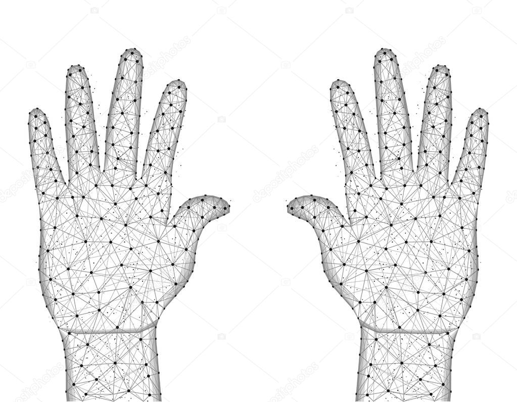 Human palms of hands low poly design, gesture in polygonal style, body part wireframe vector illustration made from points and lines on a white background