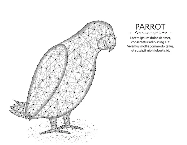 Jaco papağan düşük Poly tasarım, Afrika hayvan soyut grafikler, kuş poligon tel kafes vektör illüstrasyon noktaları ve çizgiler beyaz bir arka planda yapılan — Stok Vektör