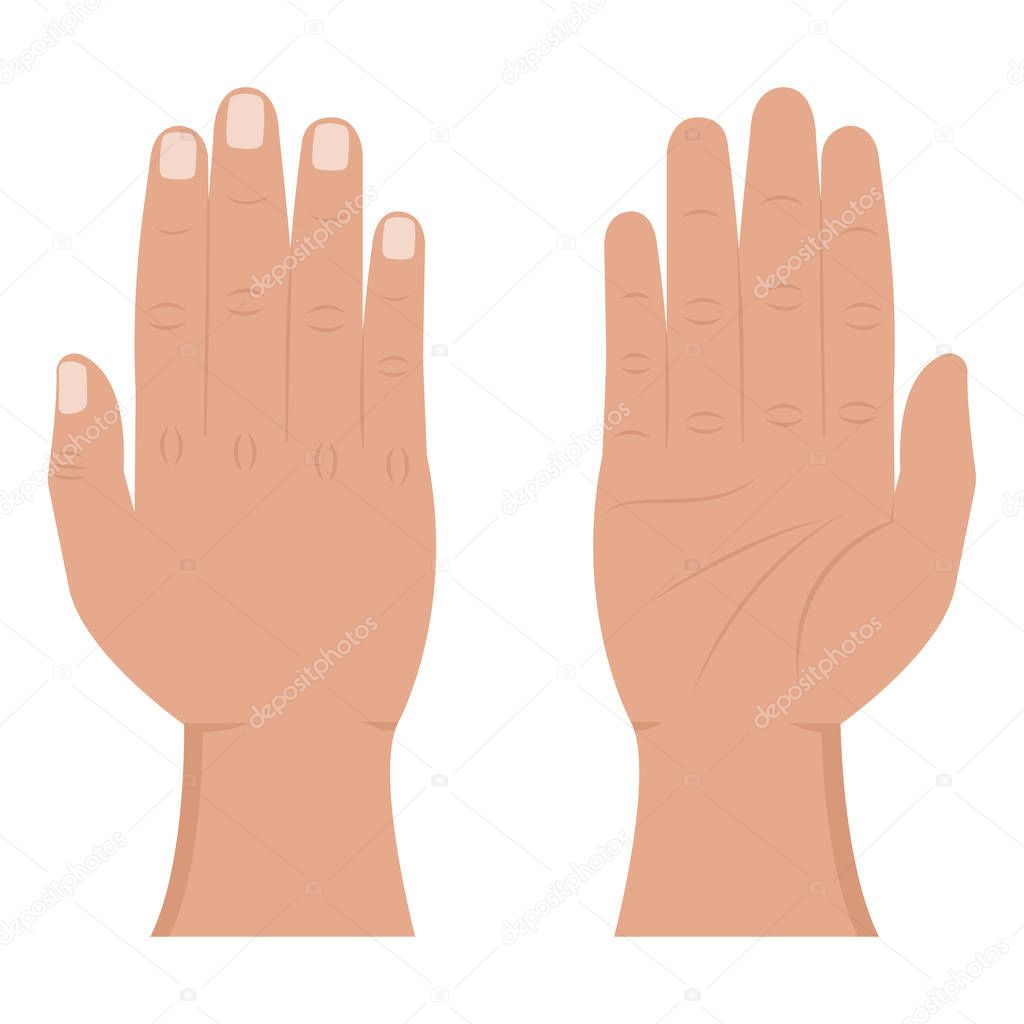 Hand view from the inside and outside flat icons. Male palm, fingers and wrist. Human upper limb vector illustration on a white background