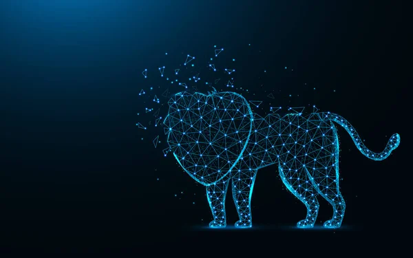 León diseño polivinílico bajo, animal africano imagen geométrica abstracta, gato salvaje malla de alambre vector poligonal ilustración hecha de puntos y líneas sobre fondo azul oscuro — Vector de stock