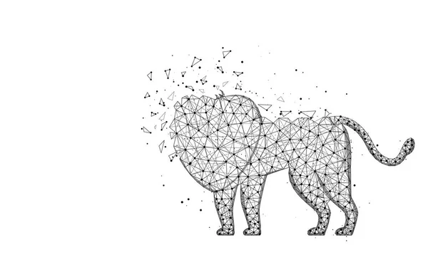 Lion low poly design, animal africain image géométrique abstraite, chat sauvage treillis métallique illustration vectorielle polygonale faite à partir de points et de lignes sur fond blanc — Image vectorielle