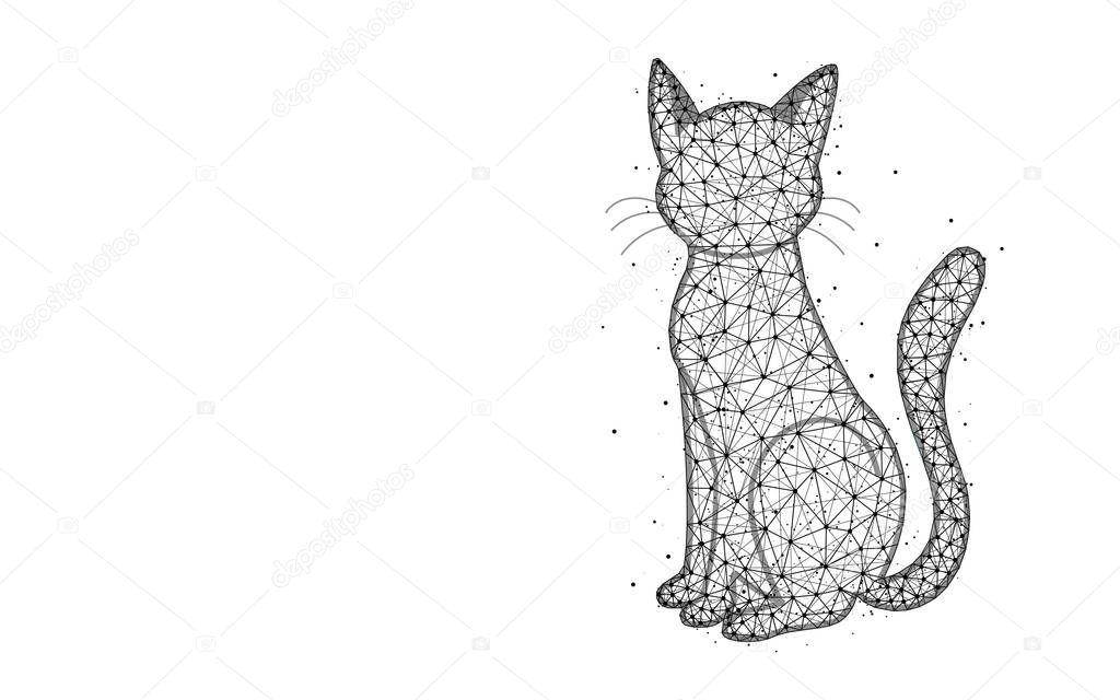 Cat low poly design, animal abstract geometric image, pet wireframe mesh polygonal vector illustration made from points and lines on white background