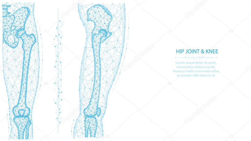 Hip joint and knee front and side view polygonal vector illustration. Leg and pelvis anatomy concept. Medical abstract low poly design on a white background