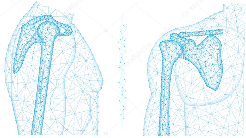 Shoulder joint front and side view polygonal vector illustration. Anatomy of the human skeleton concept. Medical abstract low poly design on a white background