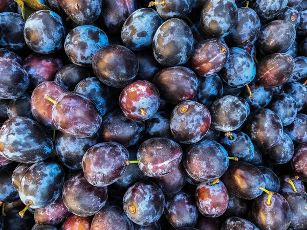 stock image Background from fresh plums