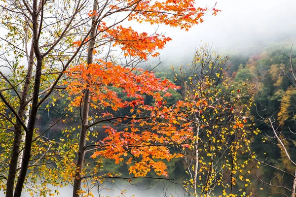 Podzimní Ráno Poblíž Jezera — Stock fotografie