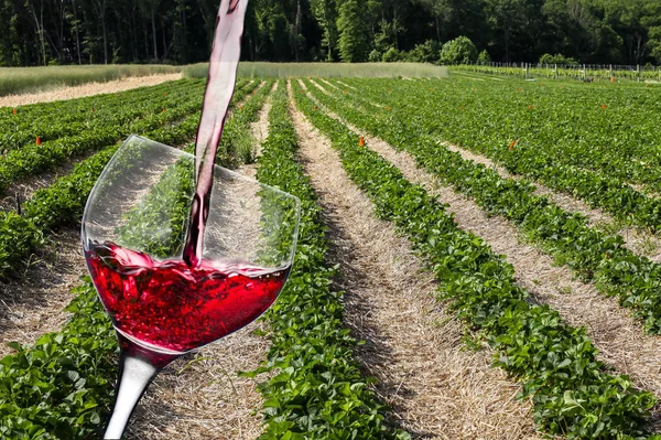 Strawberry fields with wine pouring  wine glass