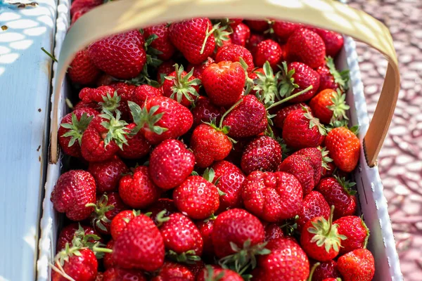 Cesta Con Fresas Frescas — Foto de Stock