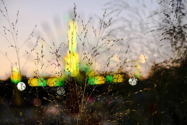 Luci Del Parco Divertimenti Con Erba — Foto Stock