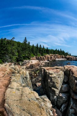 Acadia kayalık sahil şeridi yaz gün
