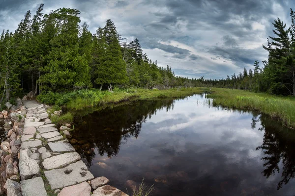 Hiking Jordan Pond Summer Day — Stock Photo, Image