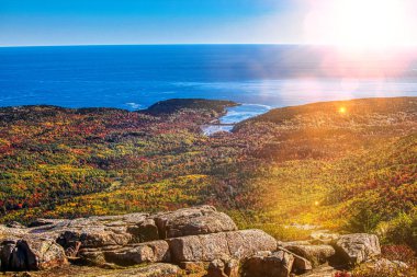 Acadia Np sonbahar renkleri