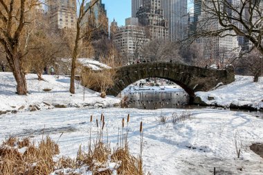 New York, Ny - 18 Şubat 2015: Kış zamanında buz yüzükle NYC New York'ta görülen taş köprü yakınındaki Central Park görünümünden.