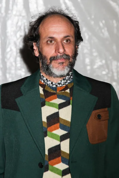 New York November Luca Guadagnino Woont 2017 Ifp Gotham Awards — Stockfoto