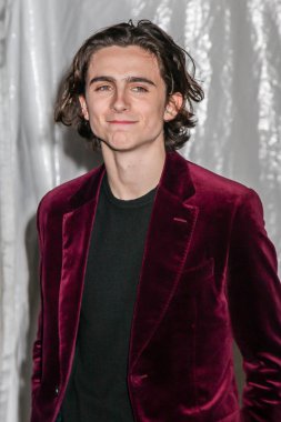 New York, Ny - 27 Kasım: Timothee Chalamet 27 Kasım 2017 üzerinde 2017 IFP Gotham Ödülleri Cipriani Wall Street, New York City bölgesindeki katılır.