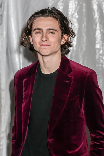 Nueva York Noviembre Timothee Chalamet Asiste Los Premios Ifp Gotham —  Fotos de Stock