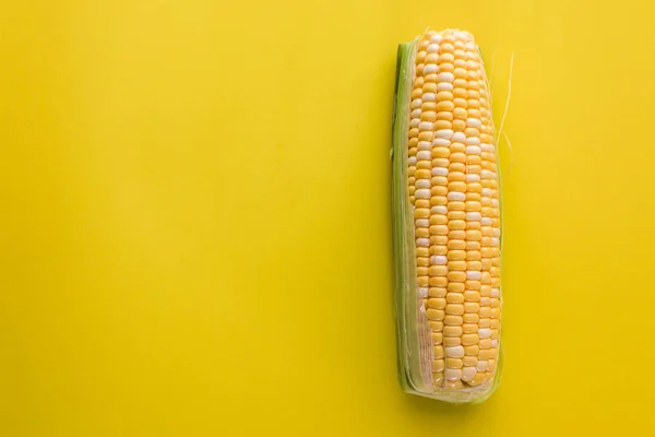 Yellow Sweet Corn Background — Stock Photo, Image